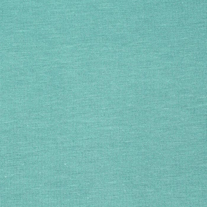 Jersey de coton uni Eucalyptus